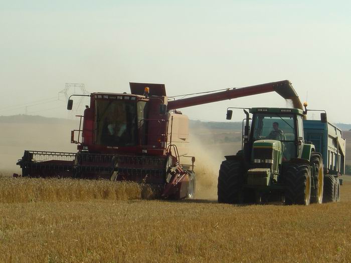 Fond batteuse.jpg (829343 octets)